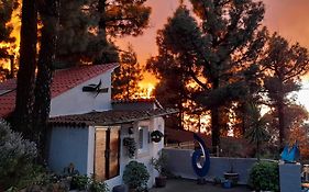 Casa Aguar: Acogedora Casa De Invitados En El Bosque