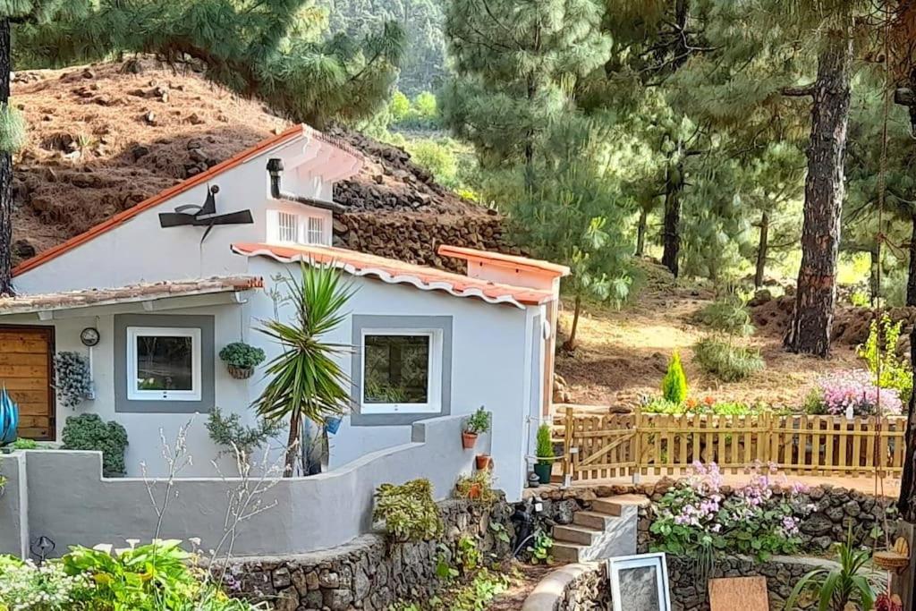 Casa Aguar: Acogedora Casa De Invitados En El Bosque Barrial Extérieur photo
