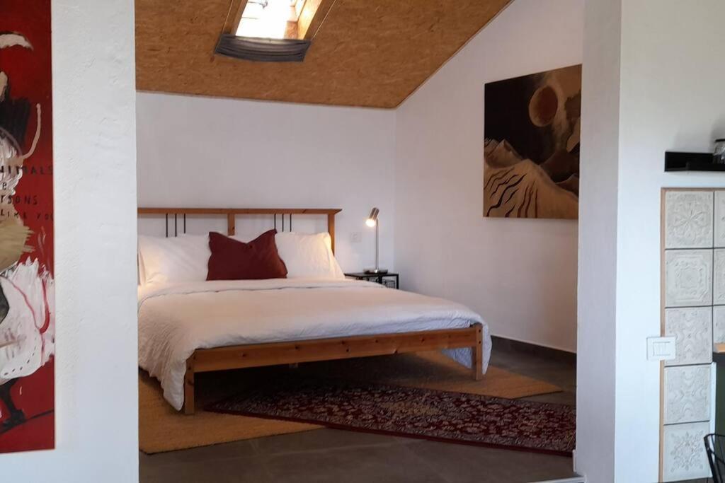 Casa Aguar: Acogedora Casa De Invitados En El Bosque Barrial Extérieur photo
