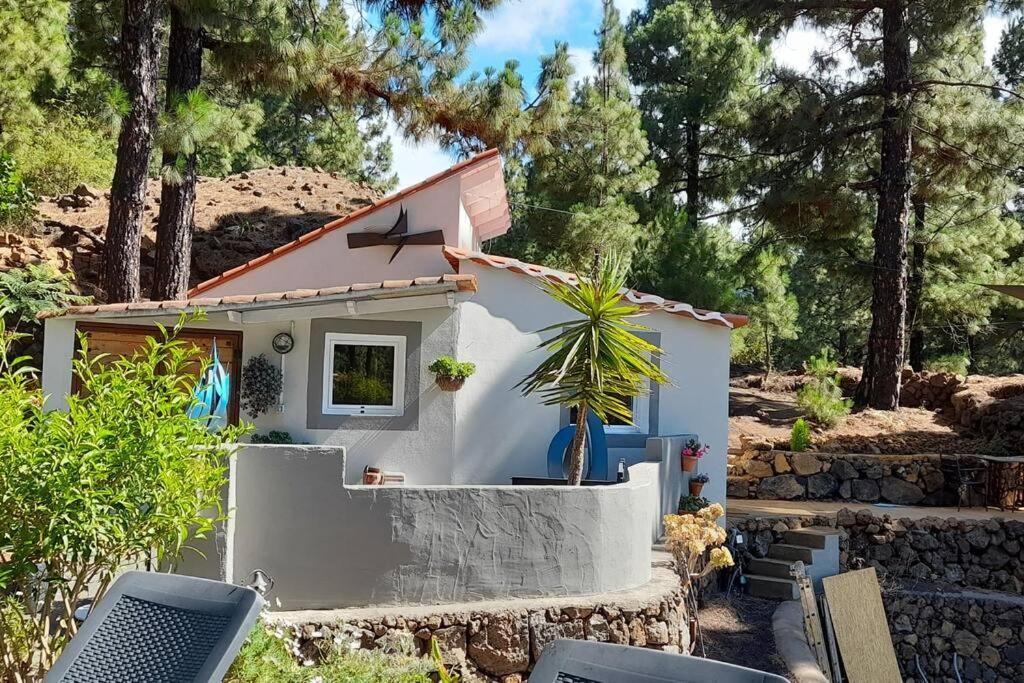 Casa Aguar: Acogedora Casa De Invitados En El Bosque Barrial Extérieur photo
