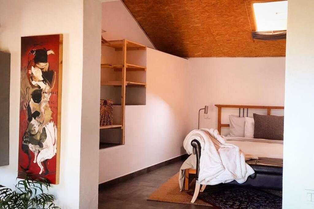 Casa Aguar: Acogedora Casa De Invitados En El Bosque Barrial Extérieur photo